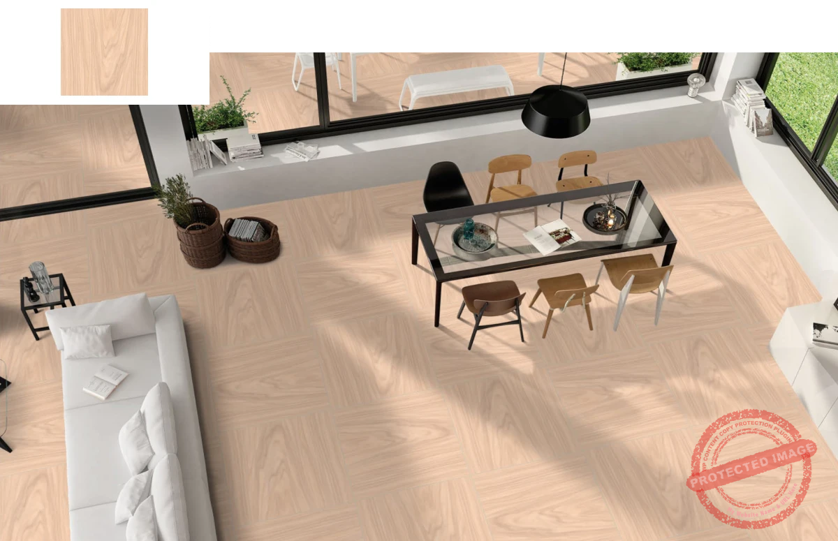 Porcelain Tile Image 02